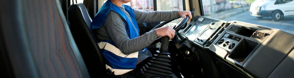 Vehículos de Transporte Turístico en Panamá